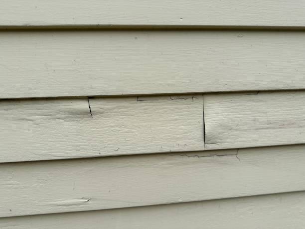 Best Steel Siding Installation  in Black Diamond, FL